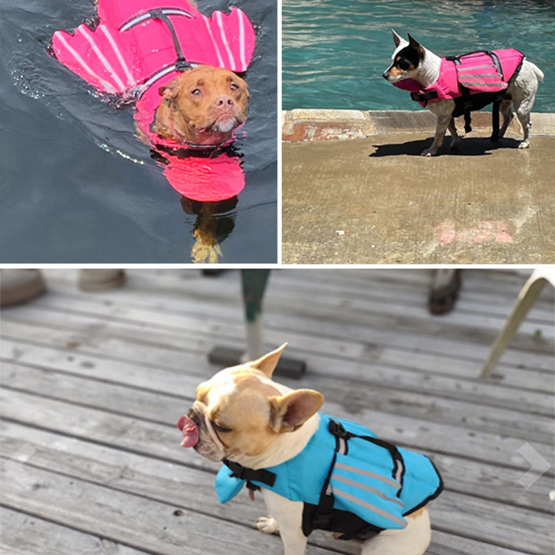 Köpek Can Yeleği Yansıtıcı Aya - Life Jacket incelemesi ve fiyatı